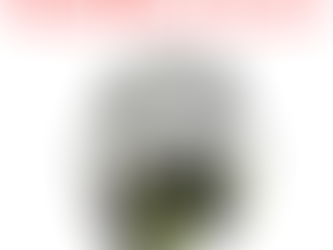 3M Recalls Peltor X4 Series Earmuffs