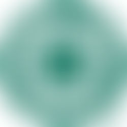 Top 10 Violations for 2019