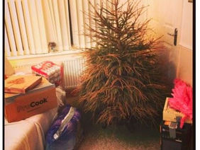 Christmas Tree Fires Video