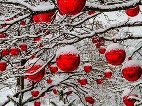 Here are some winter safety tips from today's VPPPA e-newsletter!