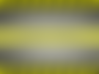 National Online Dialogue on Enhancing Workplace Preparedness