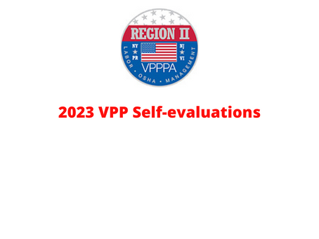 Reminder Regarding Auto-generated Emails for 2023 VPP Self-evaluations
