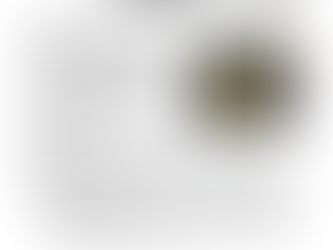 "Never move a mobile ladder occupied with a worker."