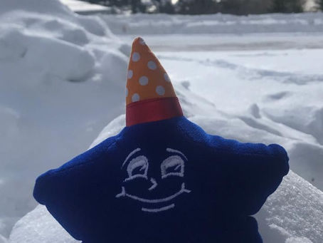 Seymour is skiing with Access Compliance today!