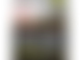 Occupational Health Services and EHS Training