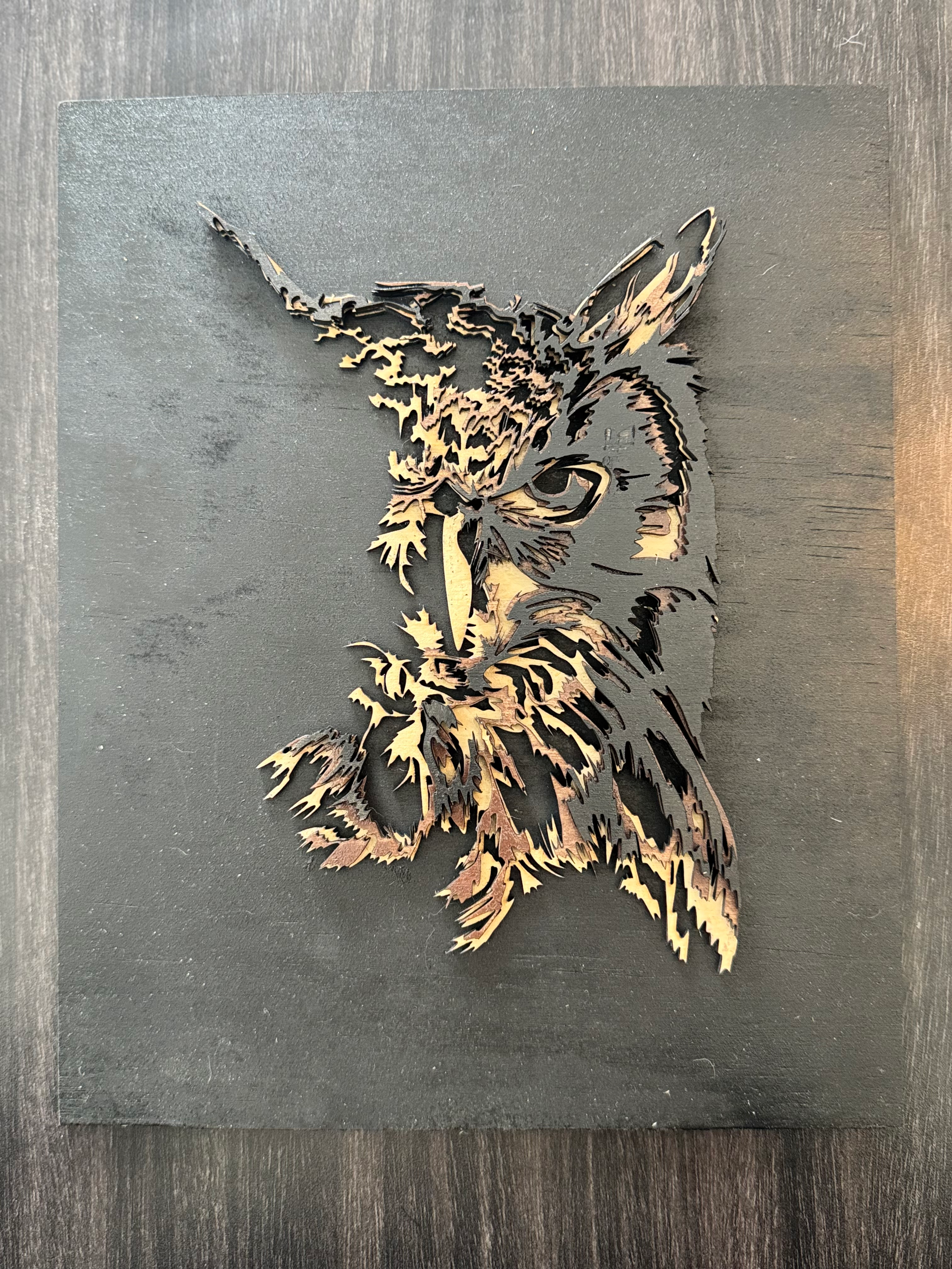 Owl Head Shadow 3D