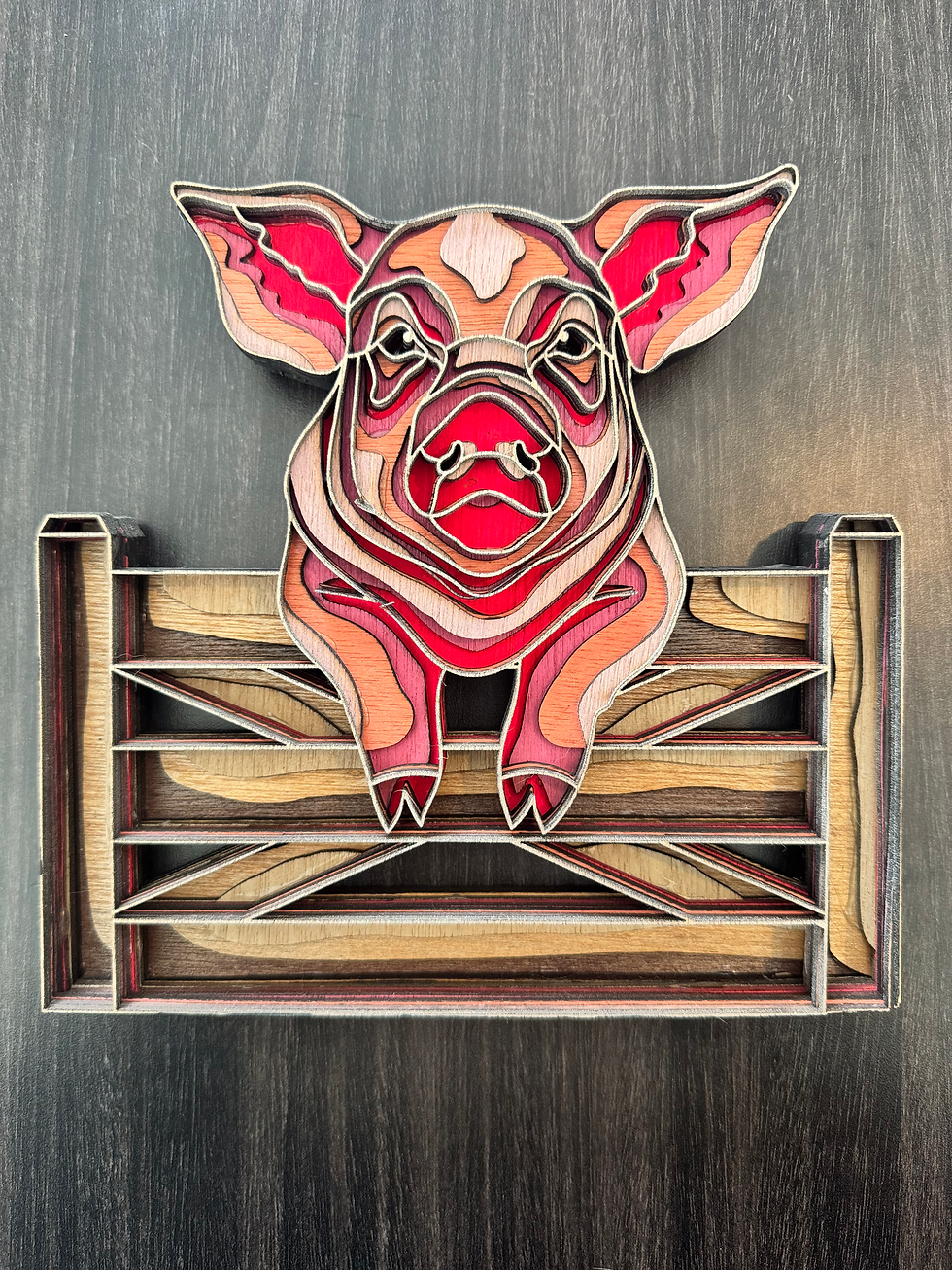 Pig Face on Fence 3D