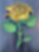 Full Rose 3D