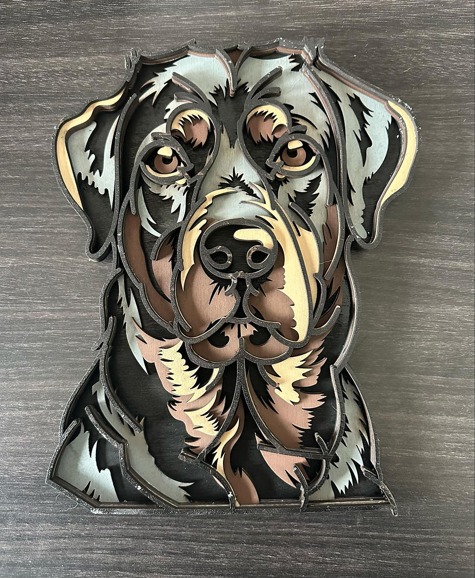 Rottweiler Head Facing You 3D