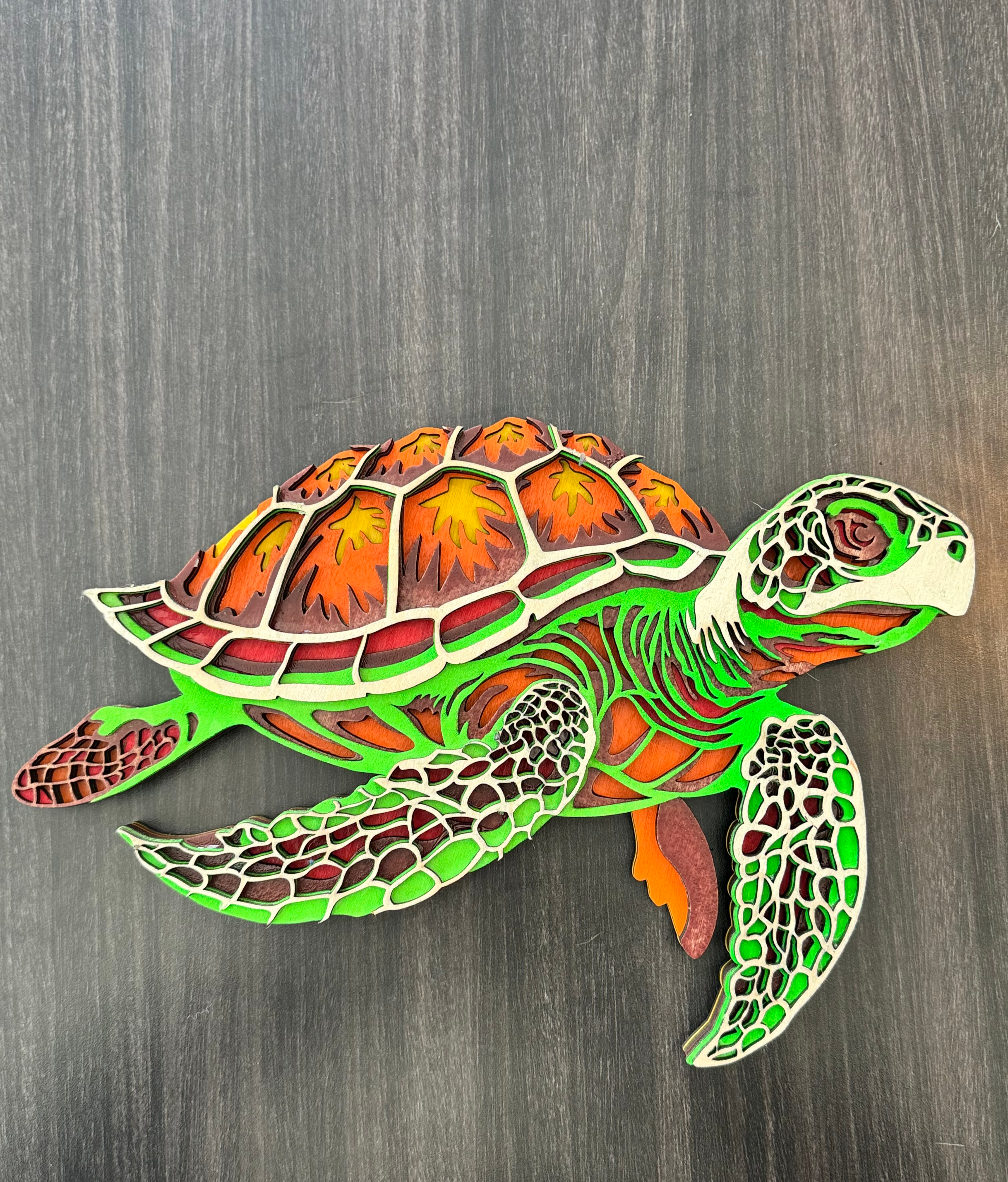 Turtle Colored 3D
