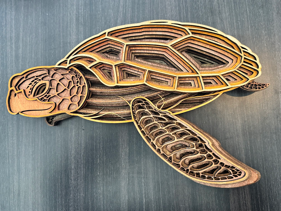 Big Turtle Stained 3D