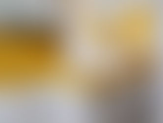 Paixão por Silestone