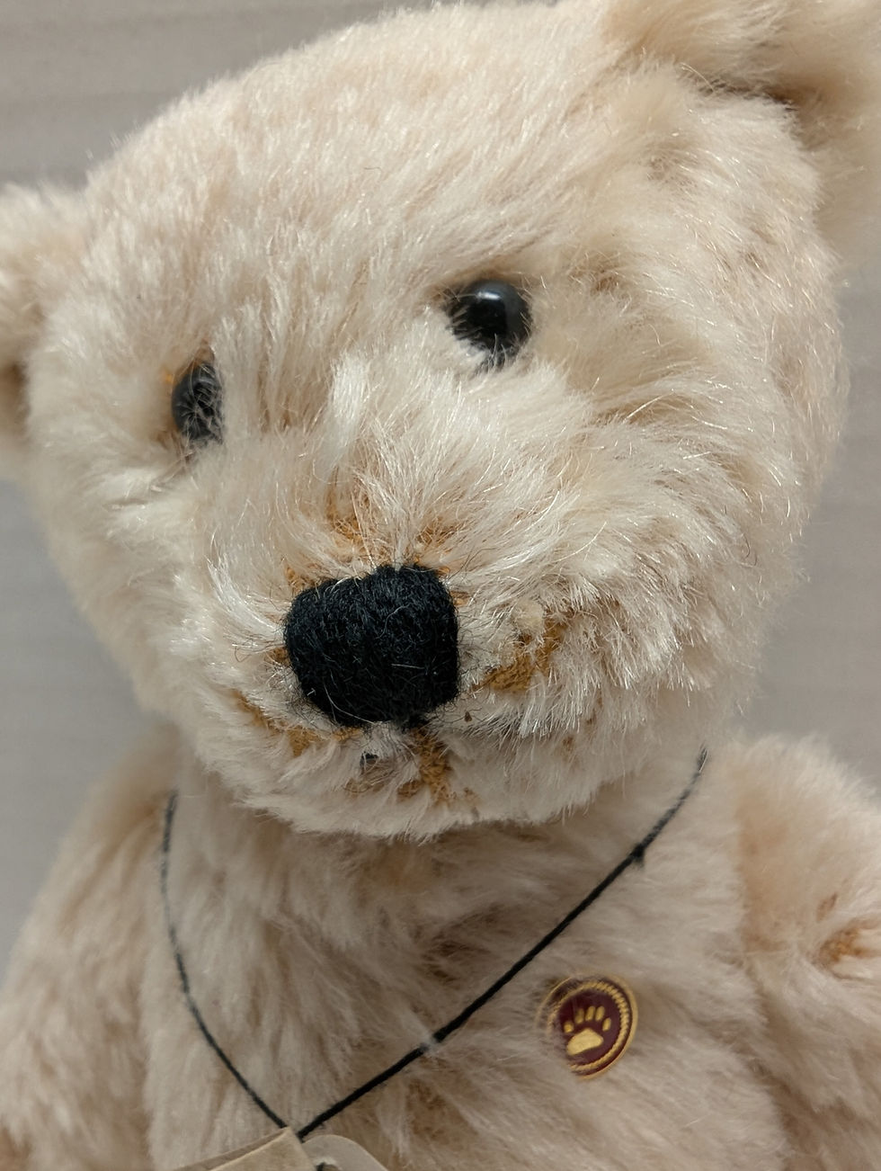 Thumbnail: Boyds Mohair Teddy B. Bear 50000 8" Event Bear