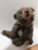 Thumbnail: Artist BearEsence Designer Steve Schutt Bear on All 4's Timber