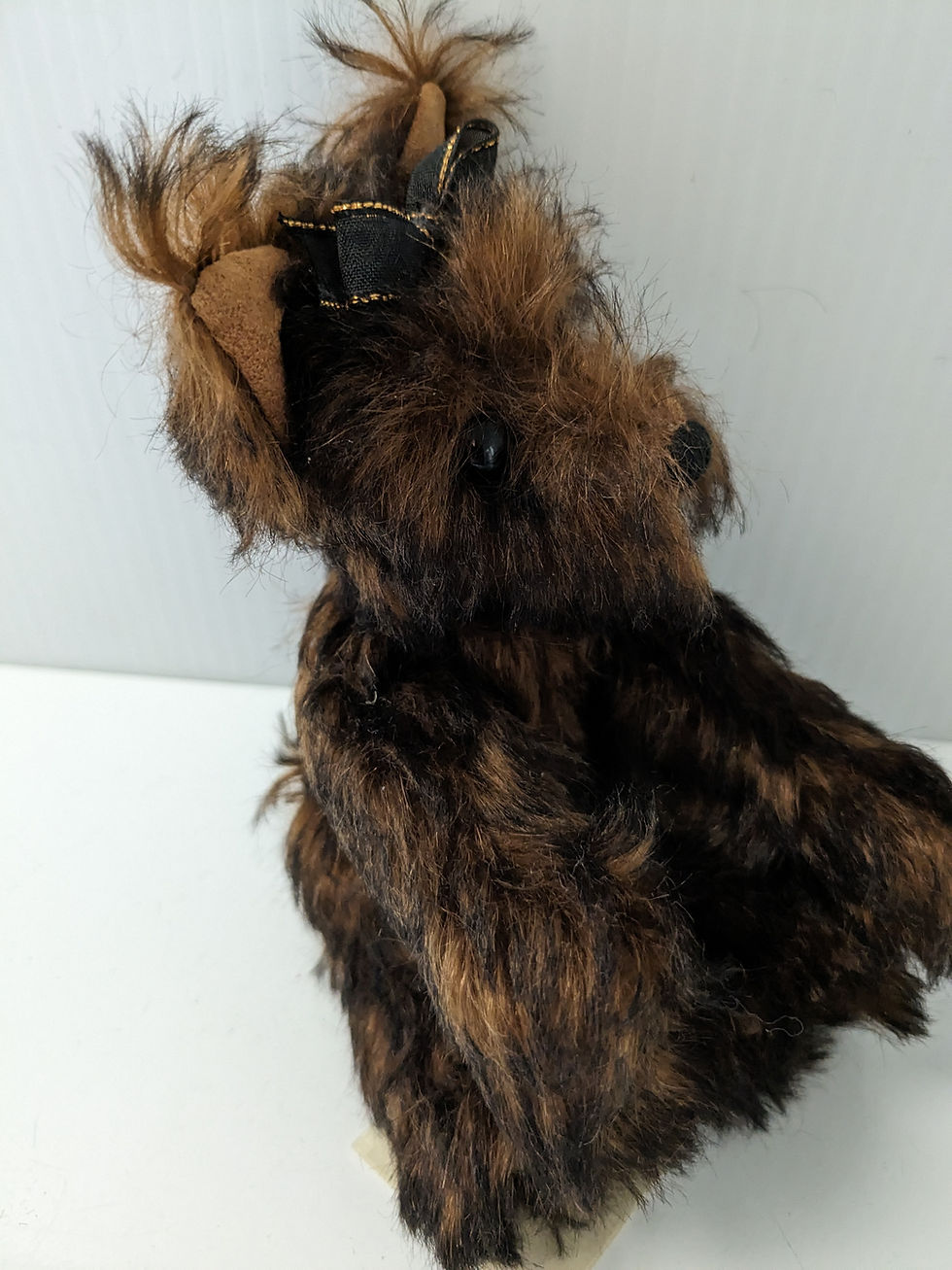 Thumbnail: Bradley the Yorkie by Linda Nelson of Half Nelsons