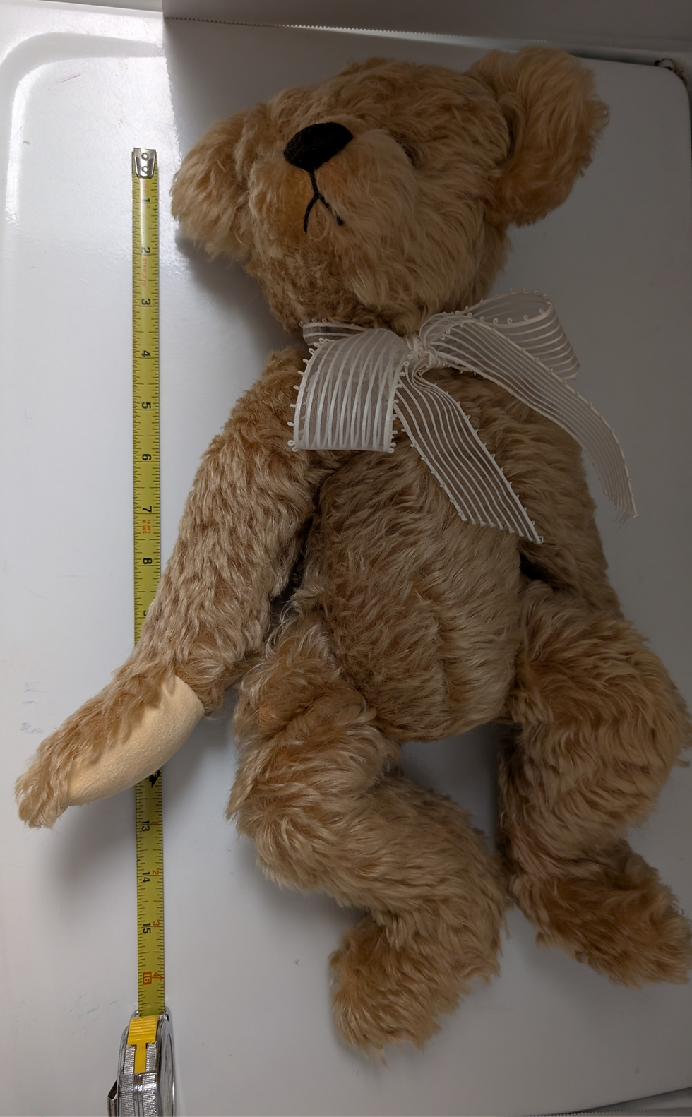 Thumbnail: Bearly One  By Gloria Franks