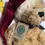 Thumbnail: Boyds Bear Plush Honey B Elfberg POG Exc  95478POG