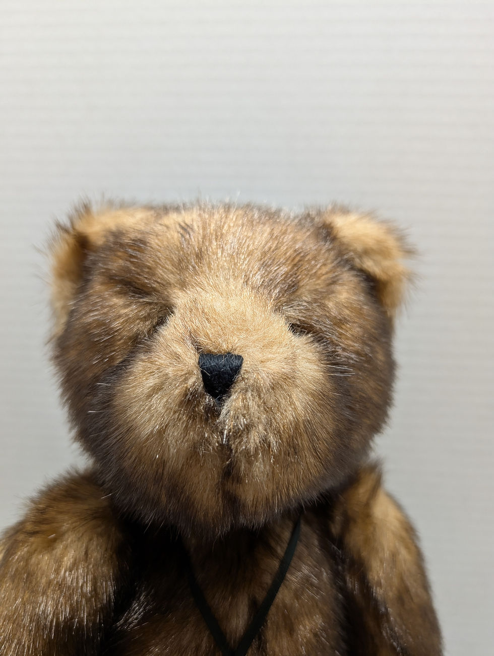 Thumbnail: Boyds Bear Plush  Bea Goodfriend Tipped 02006-90