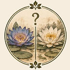 Blaue Lotusblüte und weiße Seerose im Vergleich – botanische Darstellung zur Unterscheidung der Wasserpflanzen