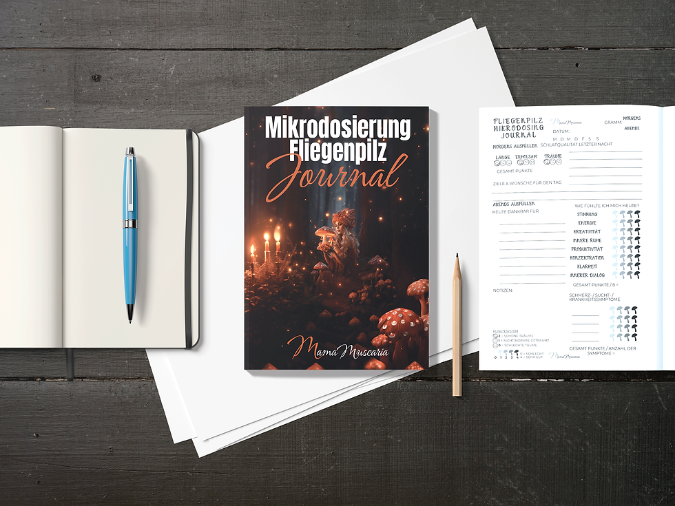 Miniaturbild: Sammelbild Tagebuch, Dream Journal für´s Mikrodosierung und Schreibgeräte