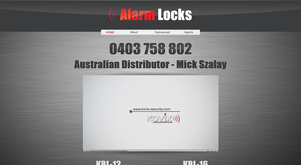 Alarm Locks