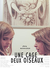 Une Cage deux Oiseaux Postr