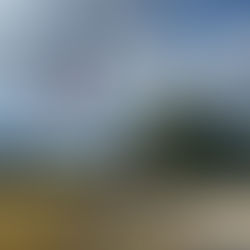 The Honor Store: A Tradition of Trust in Buffalo, Wyoming