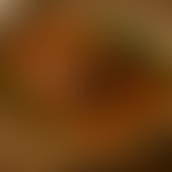 Braised Mangalitsa pork shoulder in a rustic bowl with carrots, pearl barley, and herbs in rich brown broth, farmhouse-style.