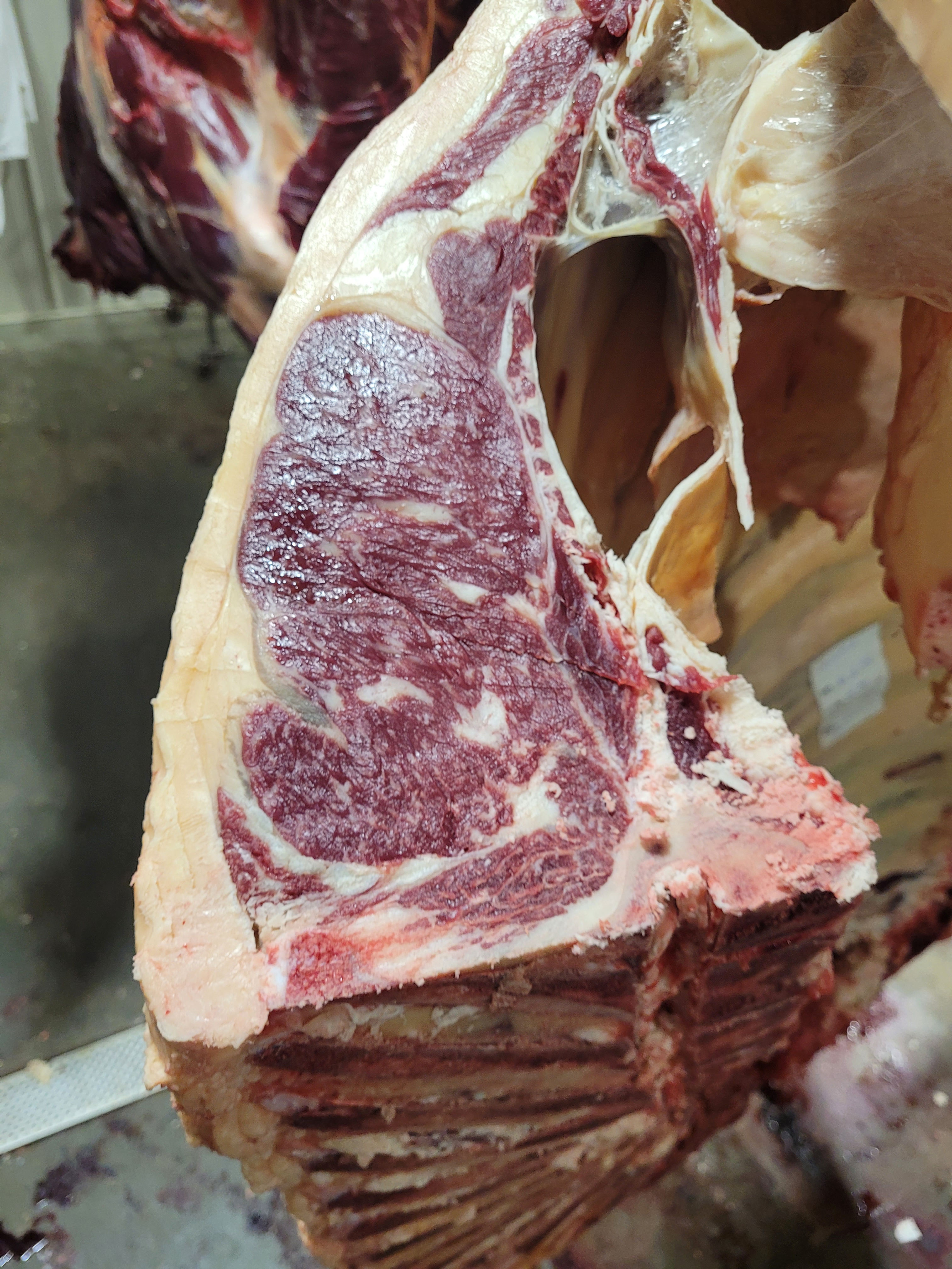 Half & Quarter Beef #479 — Grain-Finished Wyoming Wagyu + Angus