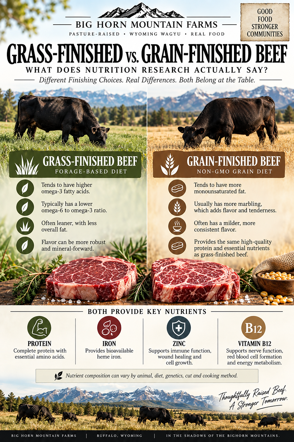 Infographic comparing grass-finished vs grain-finished beef with grazing cows, steaks, mountains, and nutrition facts text.