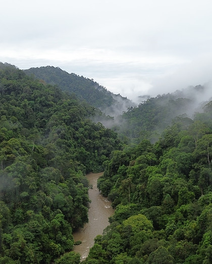 Betung Kerihun National Park, Sungai Mendalam, Kapuas Hulu.jpg