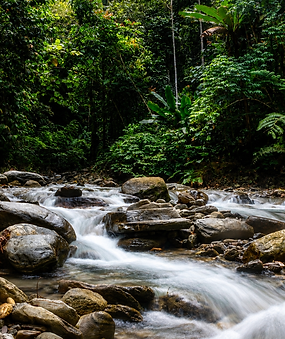 Wondiwoi Rainforests, Unexplored Papua, Indonesia, Wildlife Watching Tours Papua Indonesia