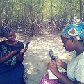 calmmage_shared_community_village_nigeria_workshop_mangroves_ap_c6bb7667-05ba-4b3e-9b03-61