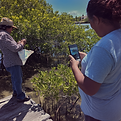 calmmage_shared_community_village_mexico_workshop_mangroves_app_d4babd83-43ce-4a28-8fd5-5d