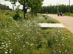 air quality neutral guidance