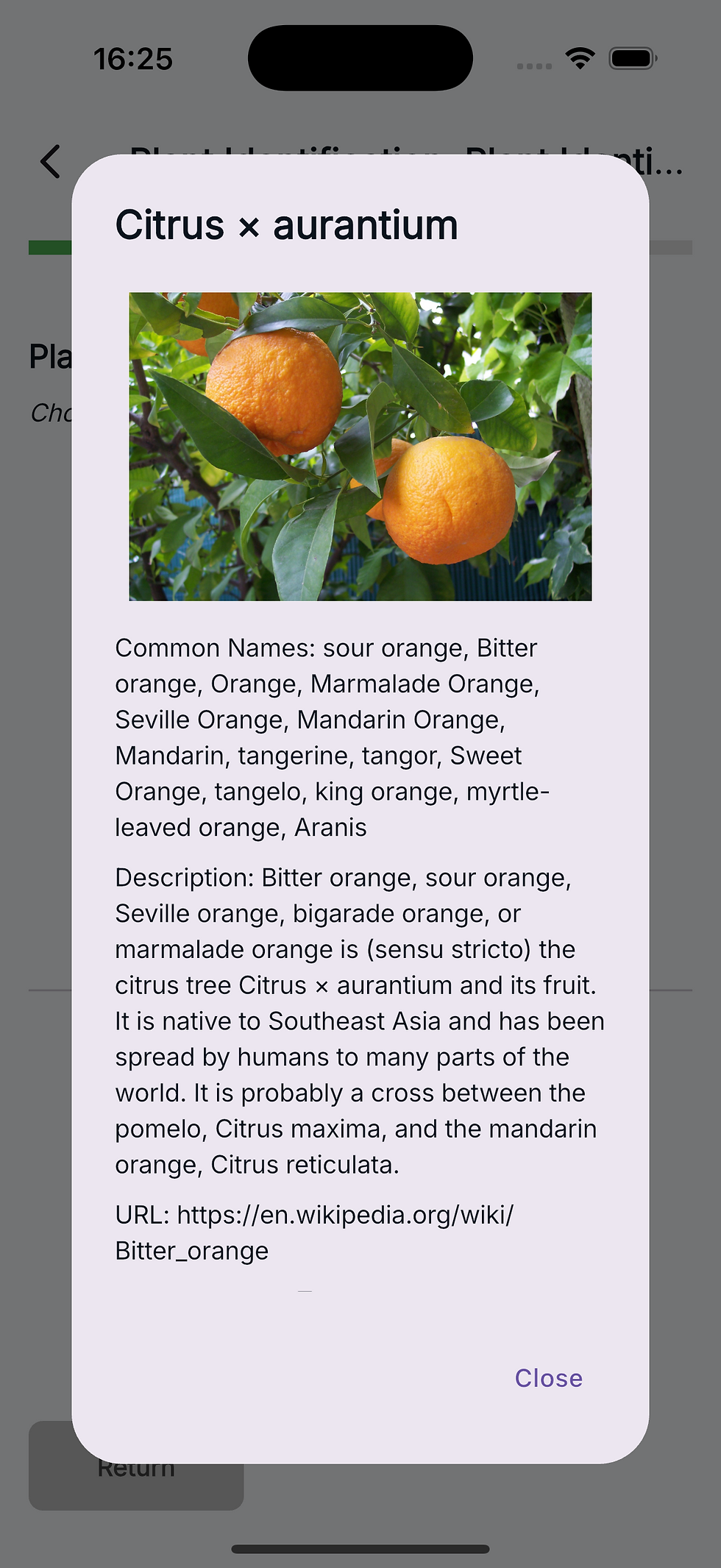 Citizen scientist measuring water quality with testing kit as part of digital MRV verification process in rural area
