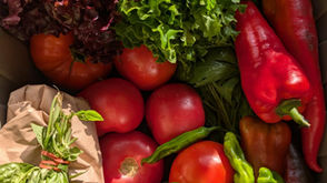 Growing Together: A Full Season of Flavours