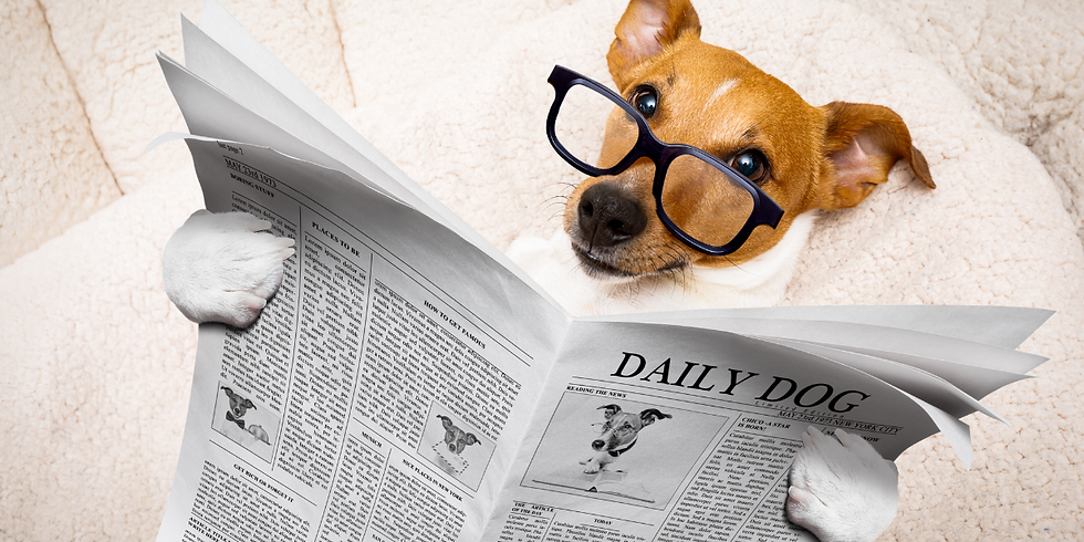 PuppyPostTheMagazine-DogMagazine.png