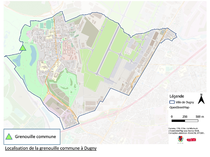 grenouille commune.png