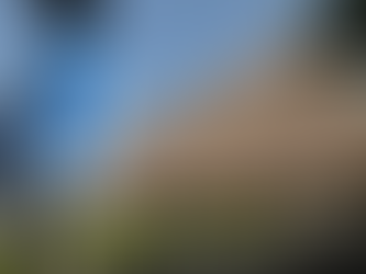 (08.06.24) 내일 차기 검찰총장 후보군 공개···임관혁·심우정·신자용 하마평