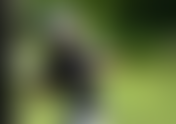 (06.03.24) PGA 투어 캐나다오픈 구경 왔다가 '깜짝 캐디'된 골프 팬