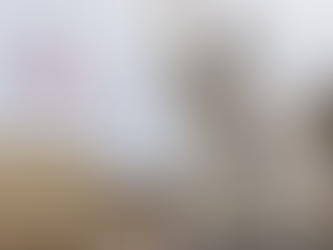 (06.30.24) ‘유럽 동맹 무너질라’…바이든 행정부, 프랑스 조기 총선에 촉각