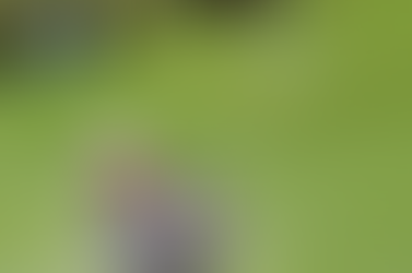 (10.25.23) 골프위크 "소렌스탐, 오거스타 골프장 회원됐다"