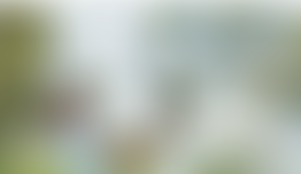 (03.19.24) 두달 넘게 '톱10' 입상 없는 임성재, '박스권' 탈출 모색