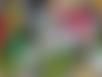 (01.30.24) 국제대회서 인공기 게양 가능해져…북한, '도핑 준수국' 복귀(종합)