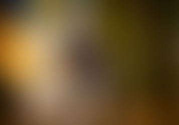 (07.16.24) 젤렌스키 "서방 장거리 무기 러 본토 공격 승인 긍정 신호 있다"