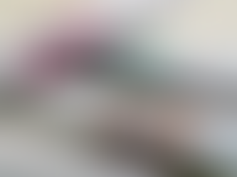 (02.25.24) 美 매그니피센트7·日 사무라이7…유럽 '황소장'엔 11개나 있다