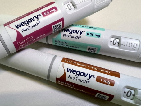 (02.25.24) 美 매그니피센트7·日 사무라이7…유럽 '황소장'엔 11개나 있다