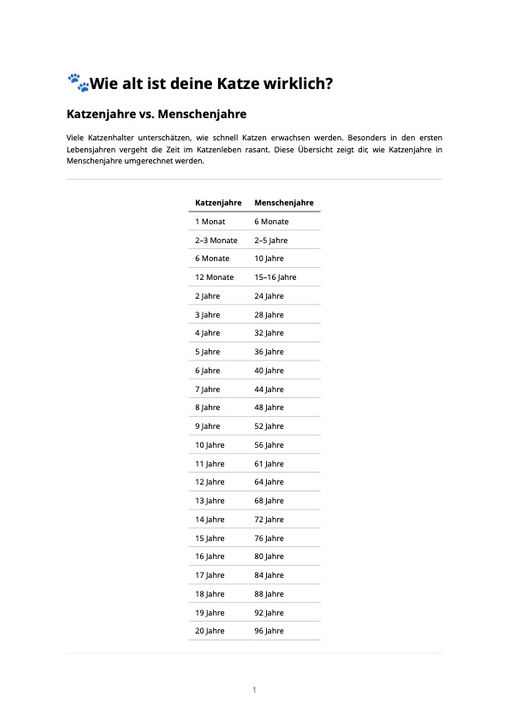 Katzenjahre In Menschenjahre – Flyer.jpg