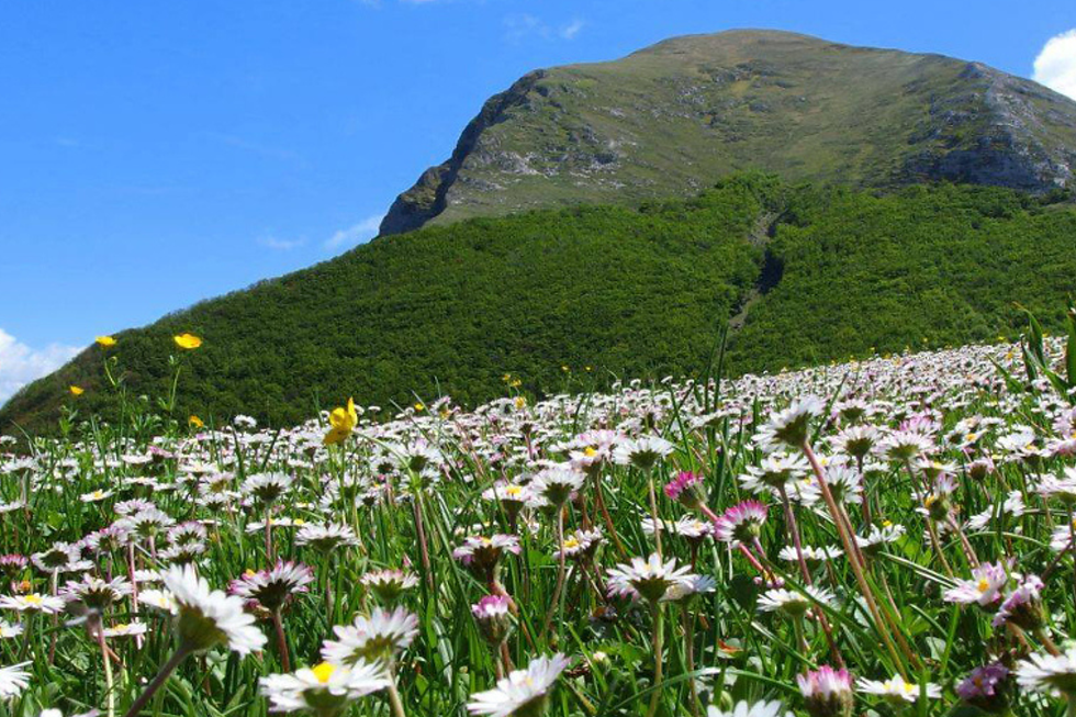 Pian delle Macinare e vetta del Monte Cucco